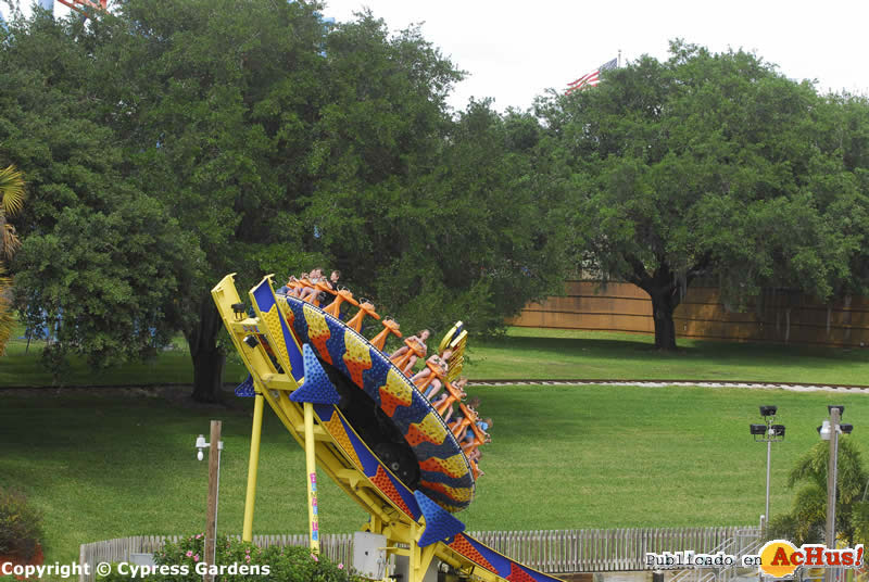 Cypress Gardens  12